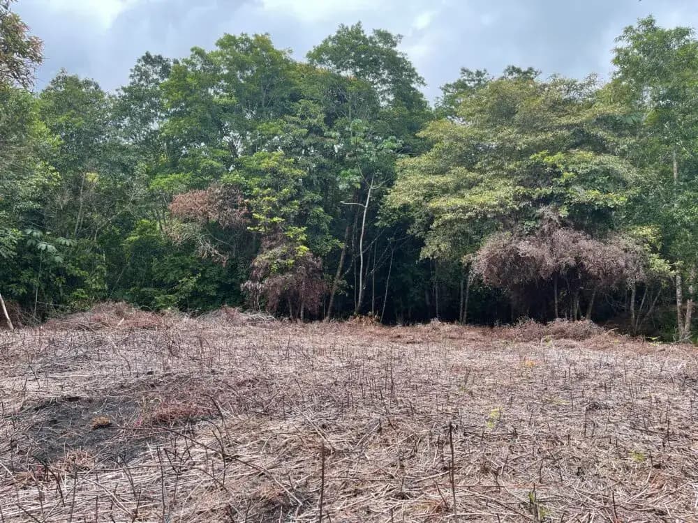 18.75 ACRES - Ocean View, Easy Access Uvita, Puntarenas — photo 1 of 11