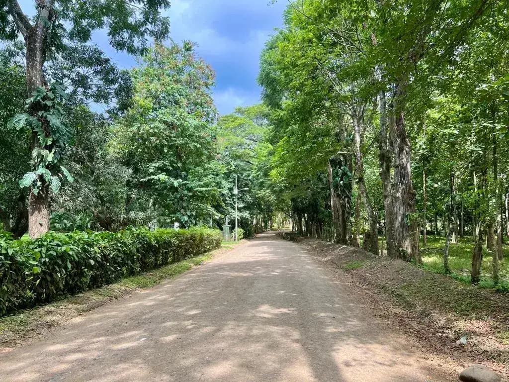 13 Hectares Development Opportunity in Herradura Herrradura — photo 1 of 35