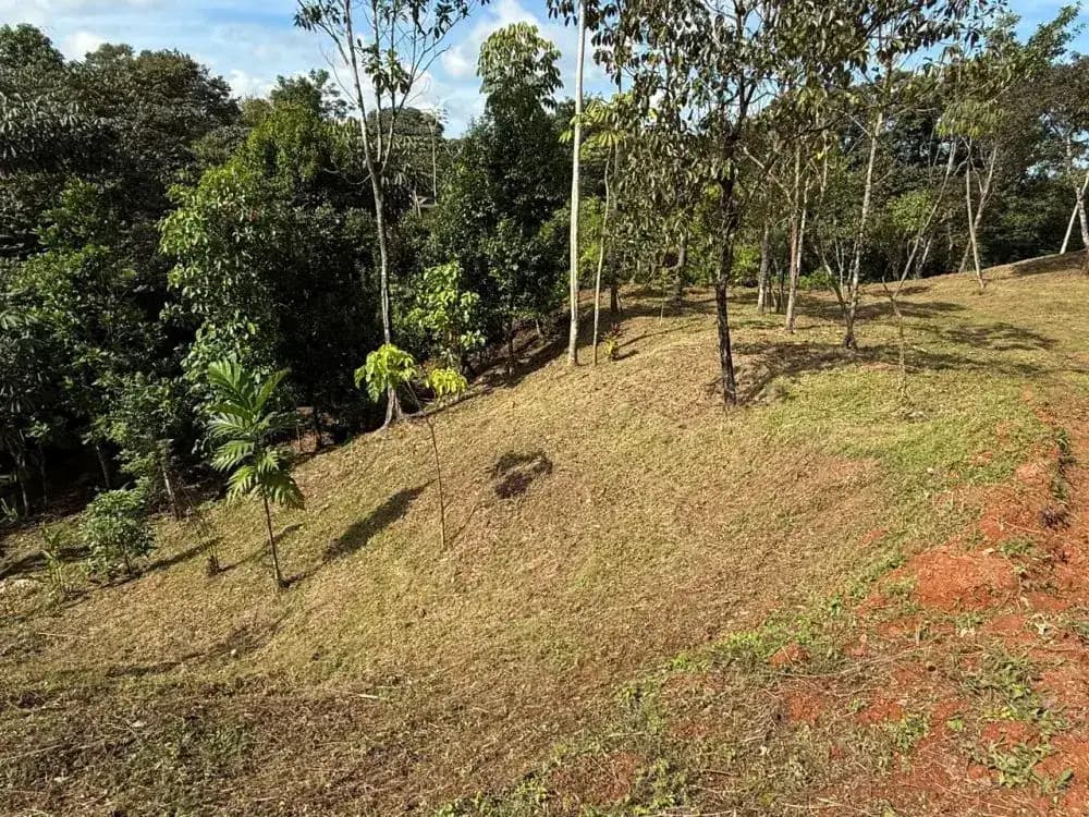 Land Lots for Sale in Damas, Quepos - Available Now — photo 1 of 14