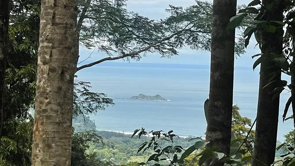 Paradise In Uvita, Jungle and Ocean View! Uvita, Puntarenas — photo 1 of 24