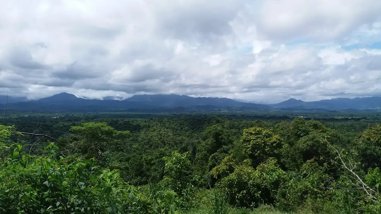 84 Hectare Mountain Top Land Manuel Antonio, Puntarenas — photo 1 of 27
